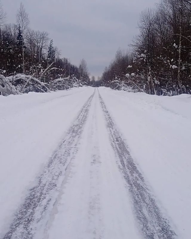 username.accepted в LOOKY. . null