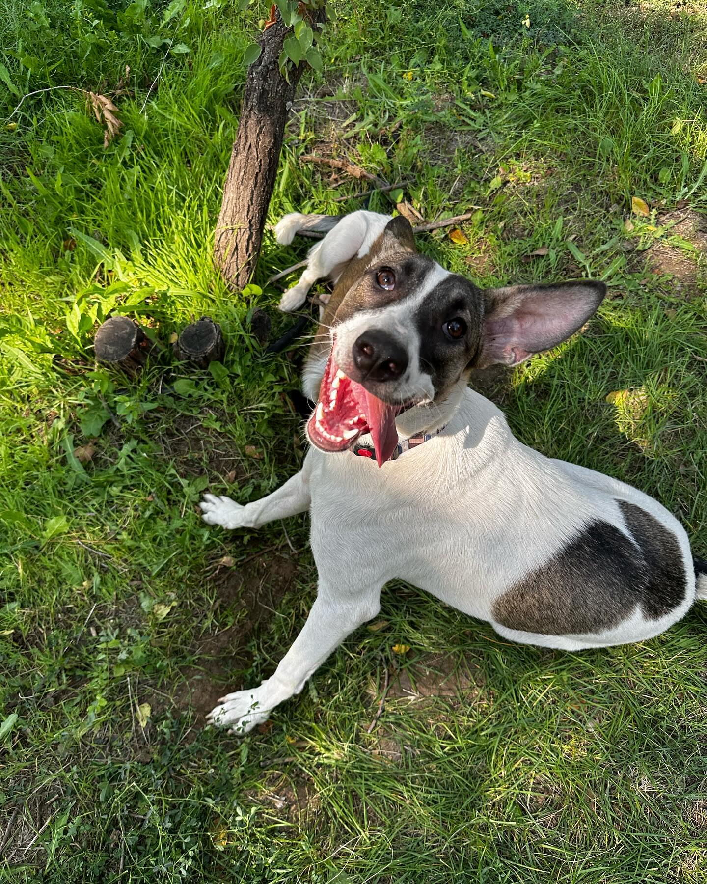 nasty_zhara в LOOKY. . Я думала этот год мы...