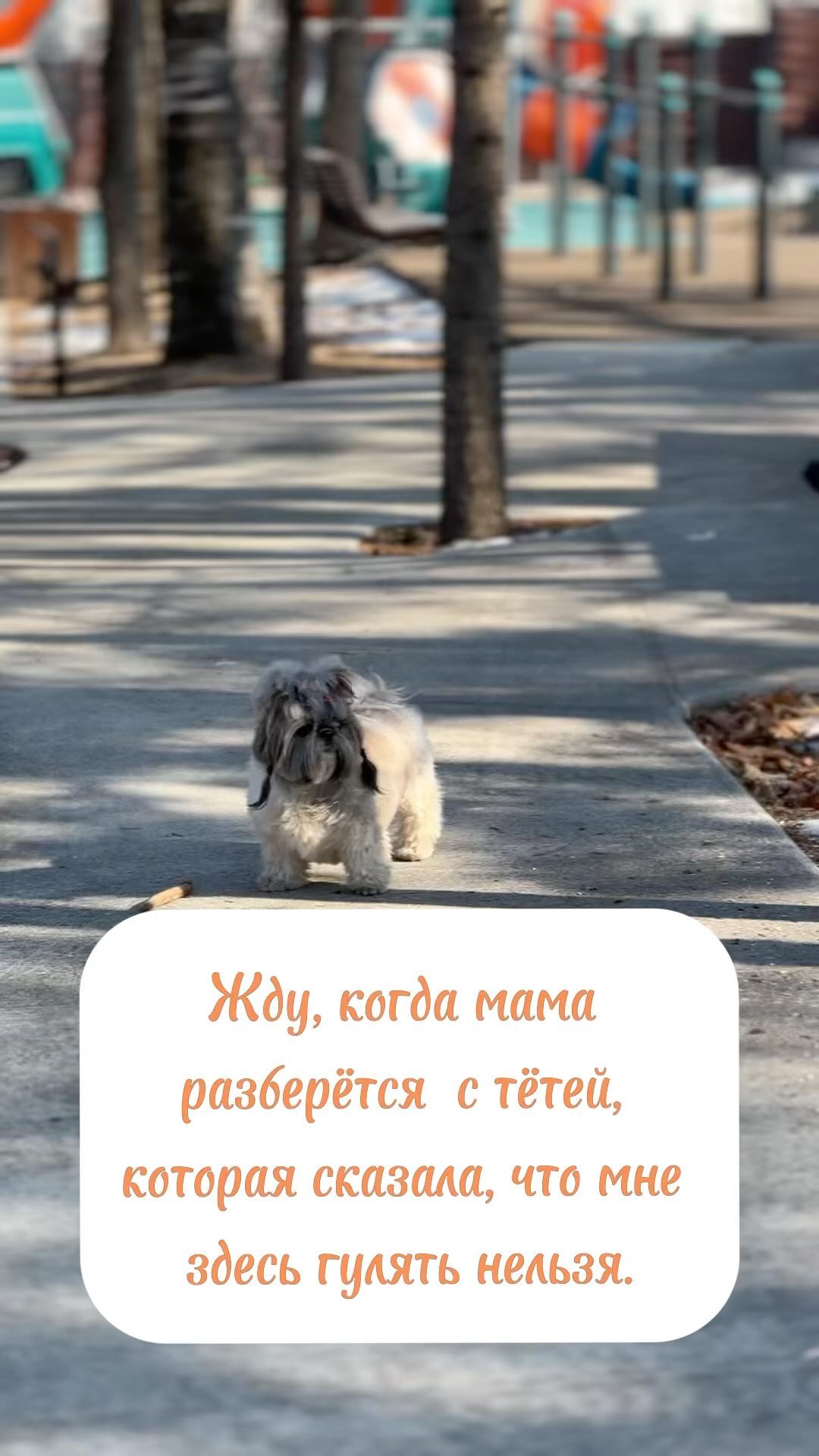 irinavl_kulish в LOOKY. #БеттиТимоховна#дочьЛауры. Было? 🤣#мояпрекрасн...
