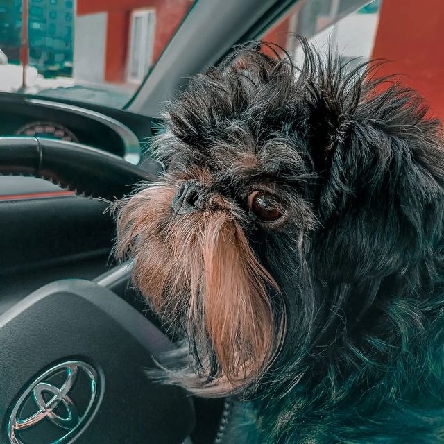 tkachenko_albert в LOOKY. . null