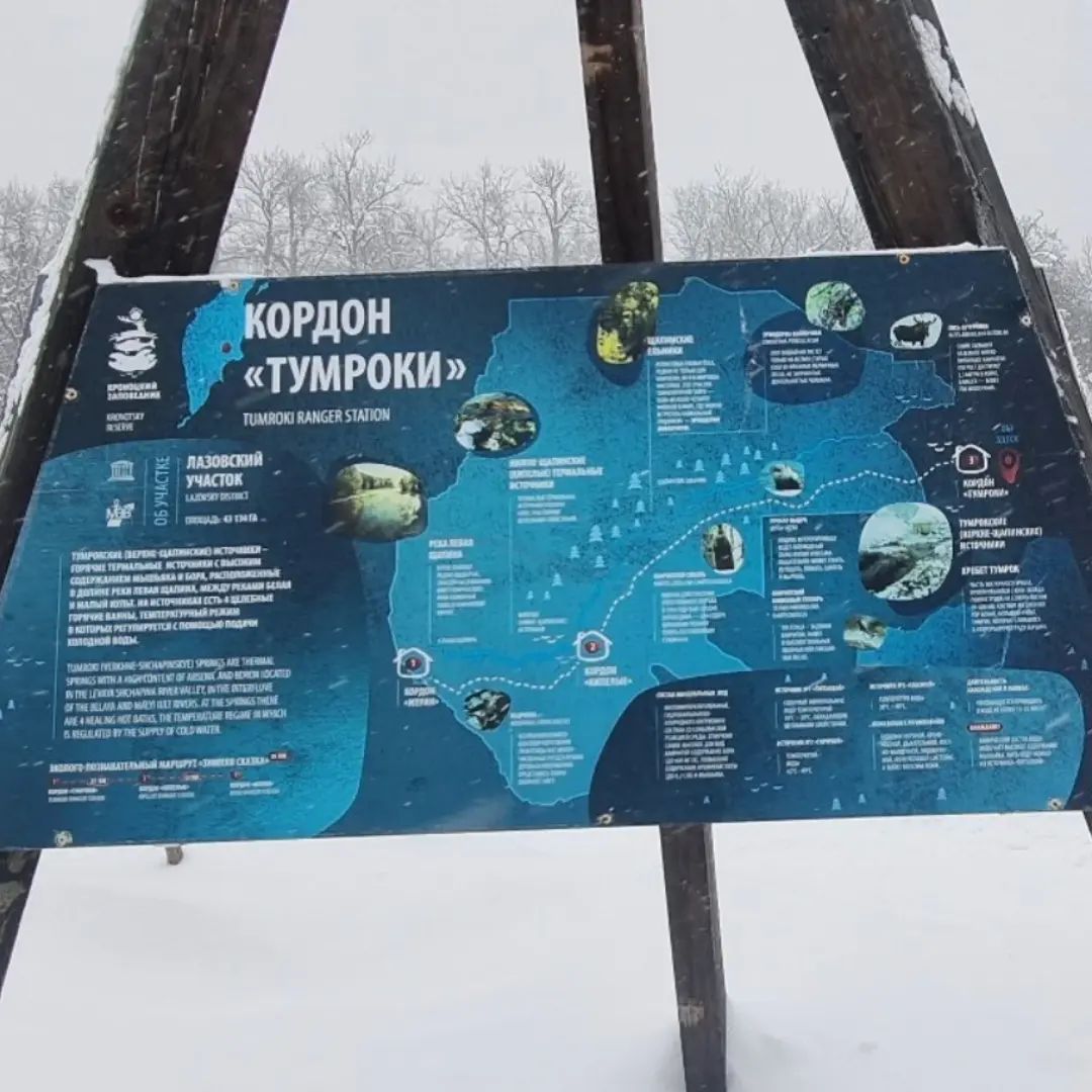 olesya_and_alexei_ruda в LOOKY. #тумроки2024. #тумроки2024 Вулкан ...