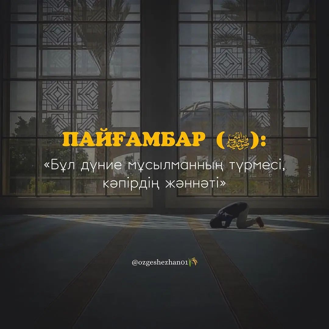 _raxmatullaev_04 в LOOKY — публикация