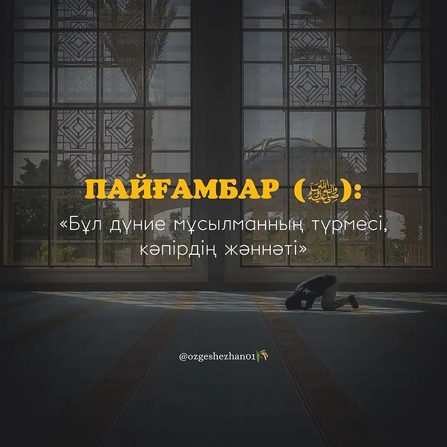 _raxmatullaev_04 в LOOKY. . null