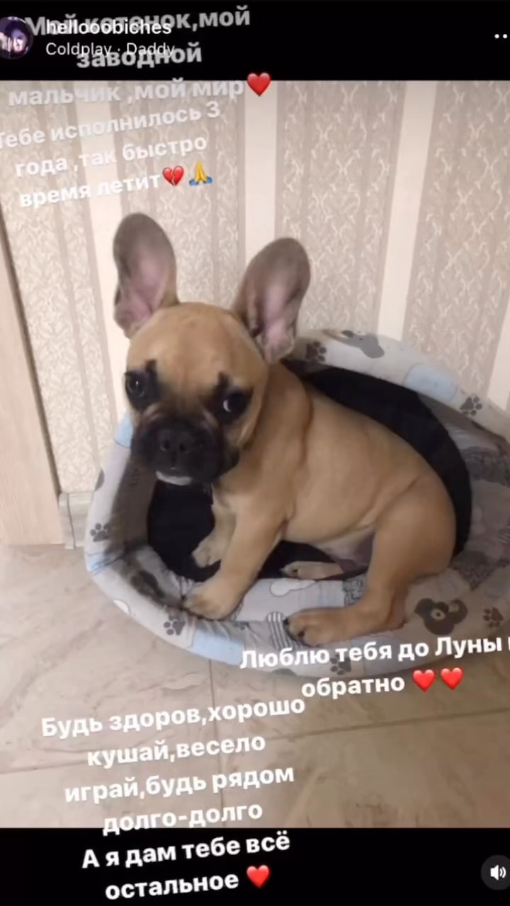 hellooobiches в LOOKY. . Мой малыш,моё солныш...