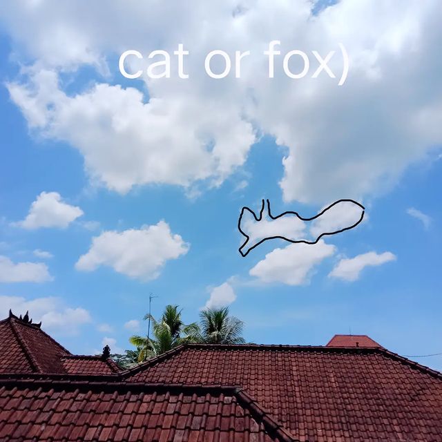 agata.v.moskwe в LOOKY. #фото,#небо,#лиса,#кот#sky,#. Cat or fox?)
#фото #...