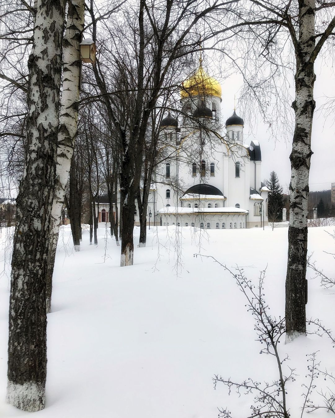 olegrammy в LOOKY — #Russia #Moscow #winter #church