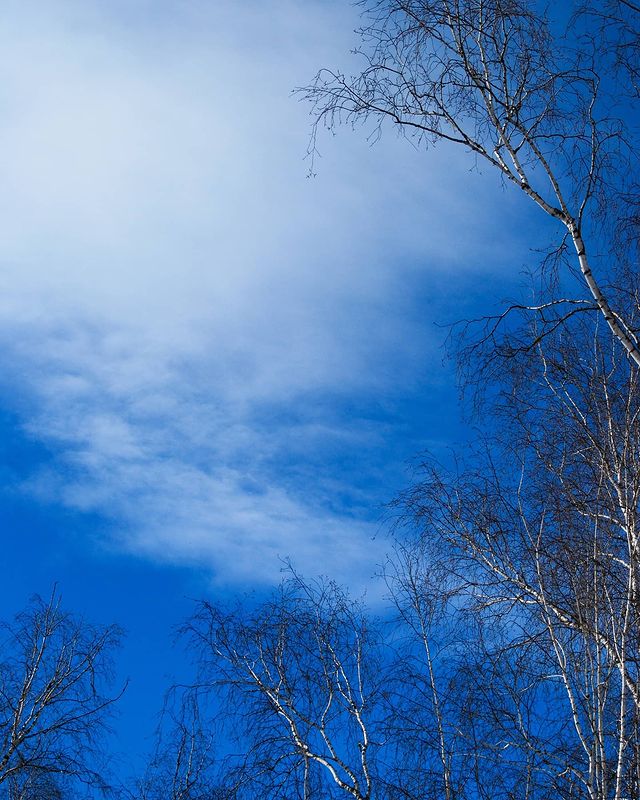 dimalife75 в LOOKY. #шумерля,#городскойпарк,#чувашия,#скоровесна,#февраль2024,#nikond60,#nikon70300vr,#nikonlove. Шаг до весны.. 🌤️ #...