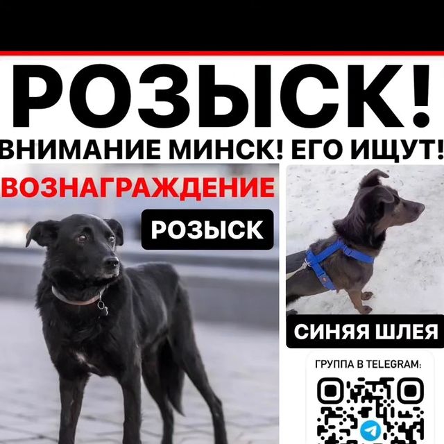 nadejdakrista в LOOKY. . Друзья ищем брайса �...