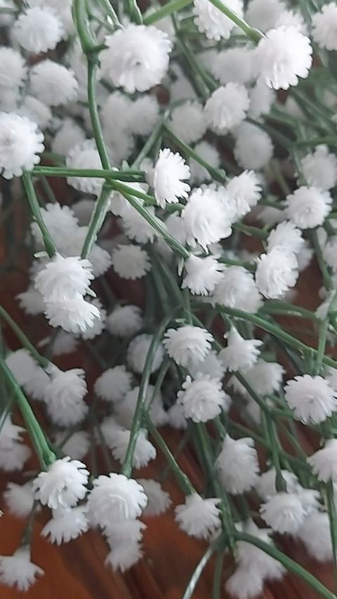  в LOOKY — 🏡 Домашняя рутина: факты и мифы 🌿

💡 Факт: Регулярная дом