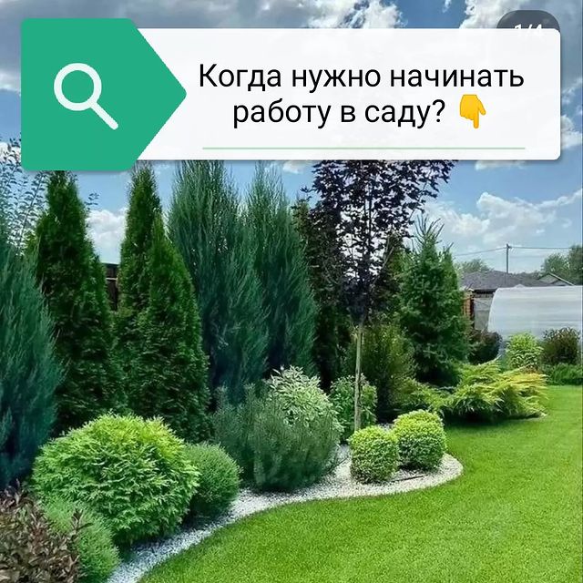 Виктория в LOOKY. . Когда начинать работ...