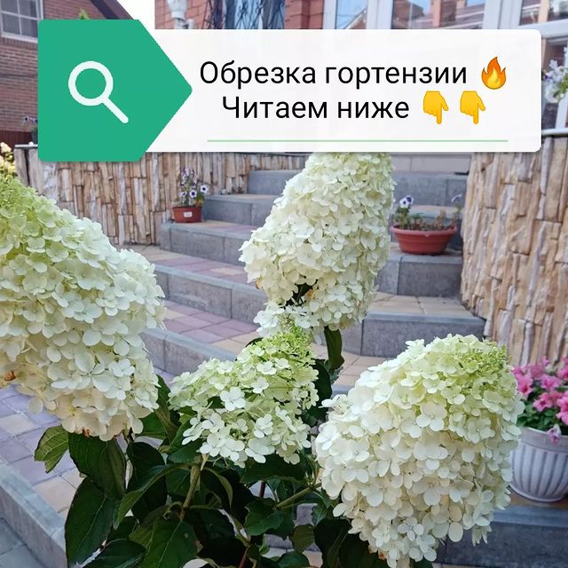 Виктория в LOOKY. . ОБРЕЗКА РАЗНЫХ ВИДОВ...