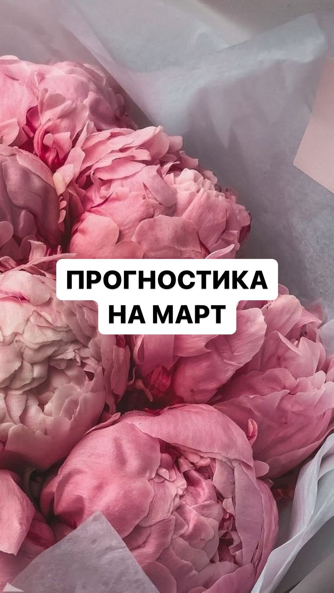 nikolashkina.aitalina в LOOKY. . Прогностика на март ...