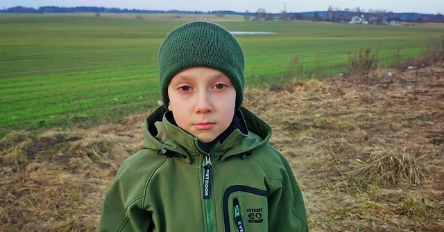 lesovik.by в LOOKY. . В ожидании весны реш...