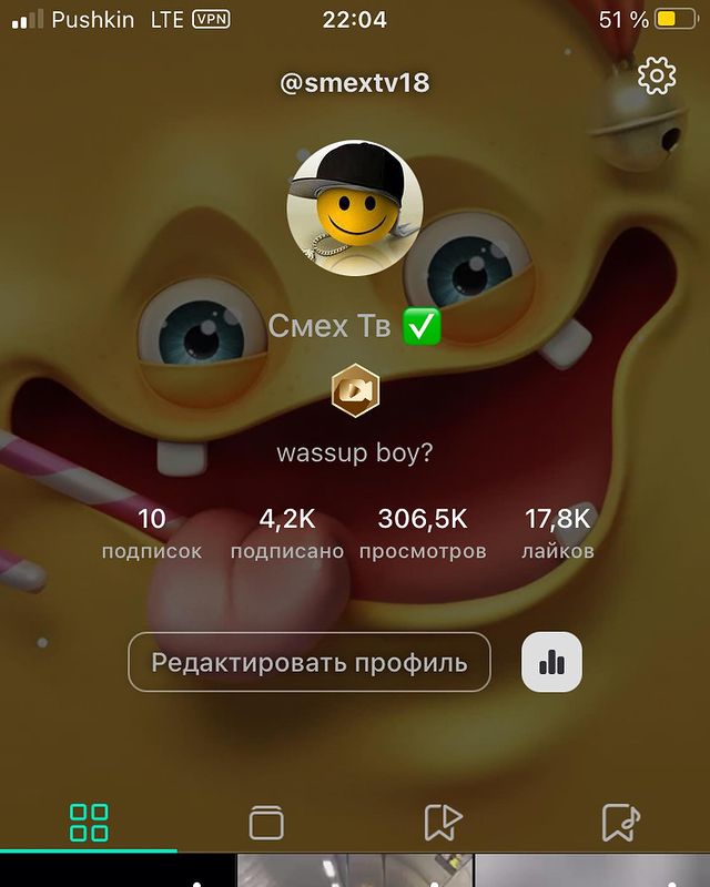 pushkintv2525 в LOOKY. . Цель 🎯 за 3 месяца ...
