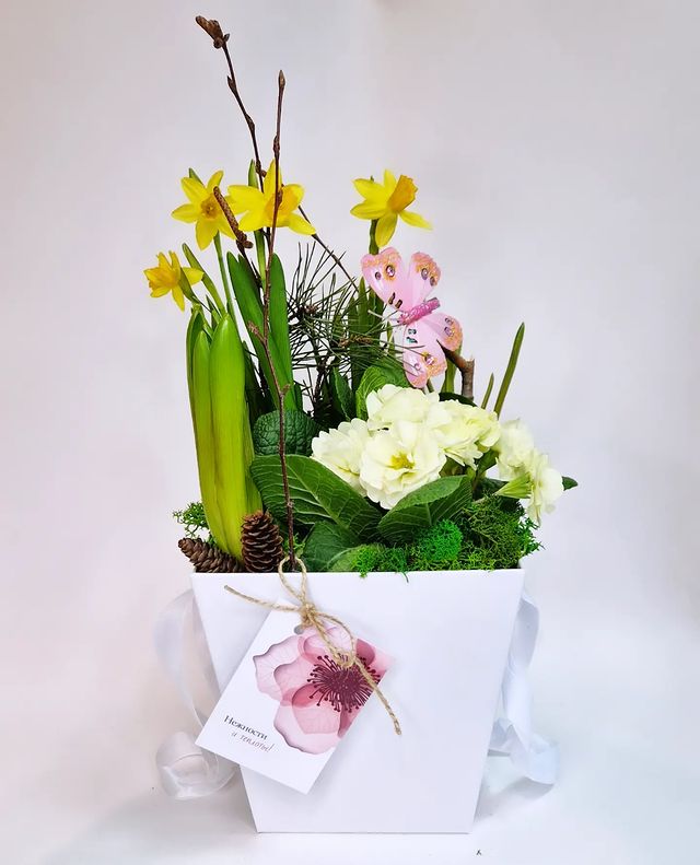 fitodecor в LOOKY. . ОТТЕПЕЛЬ - У КАЖДОЙ ...