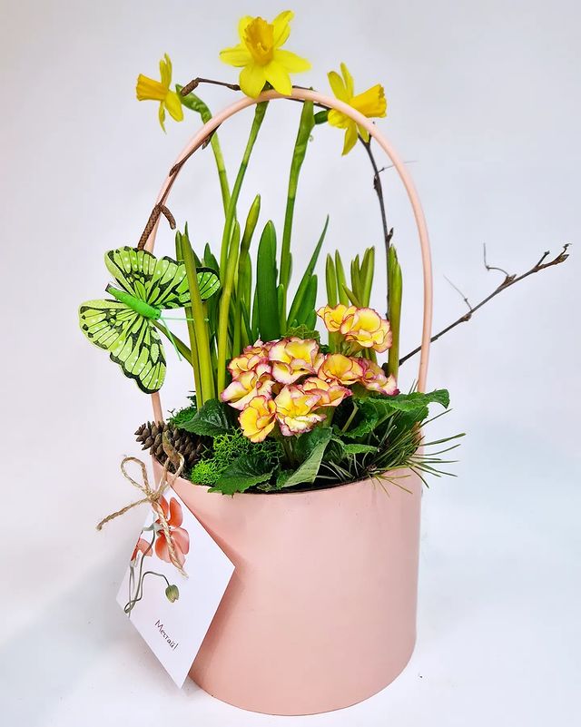 fitodecor в LOOKY. . СКОРО БУДЕТ АПРЕЛЬ.....