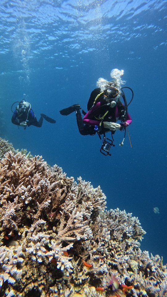 alenagarem в LOOKY. #scuba,#scubadiver,#ocean,#padi,#travel,#gopro. Exploring the depths...