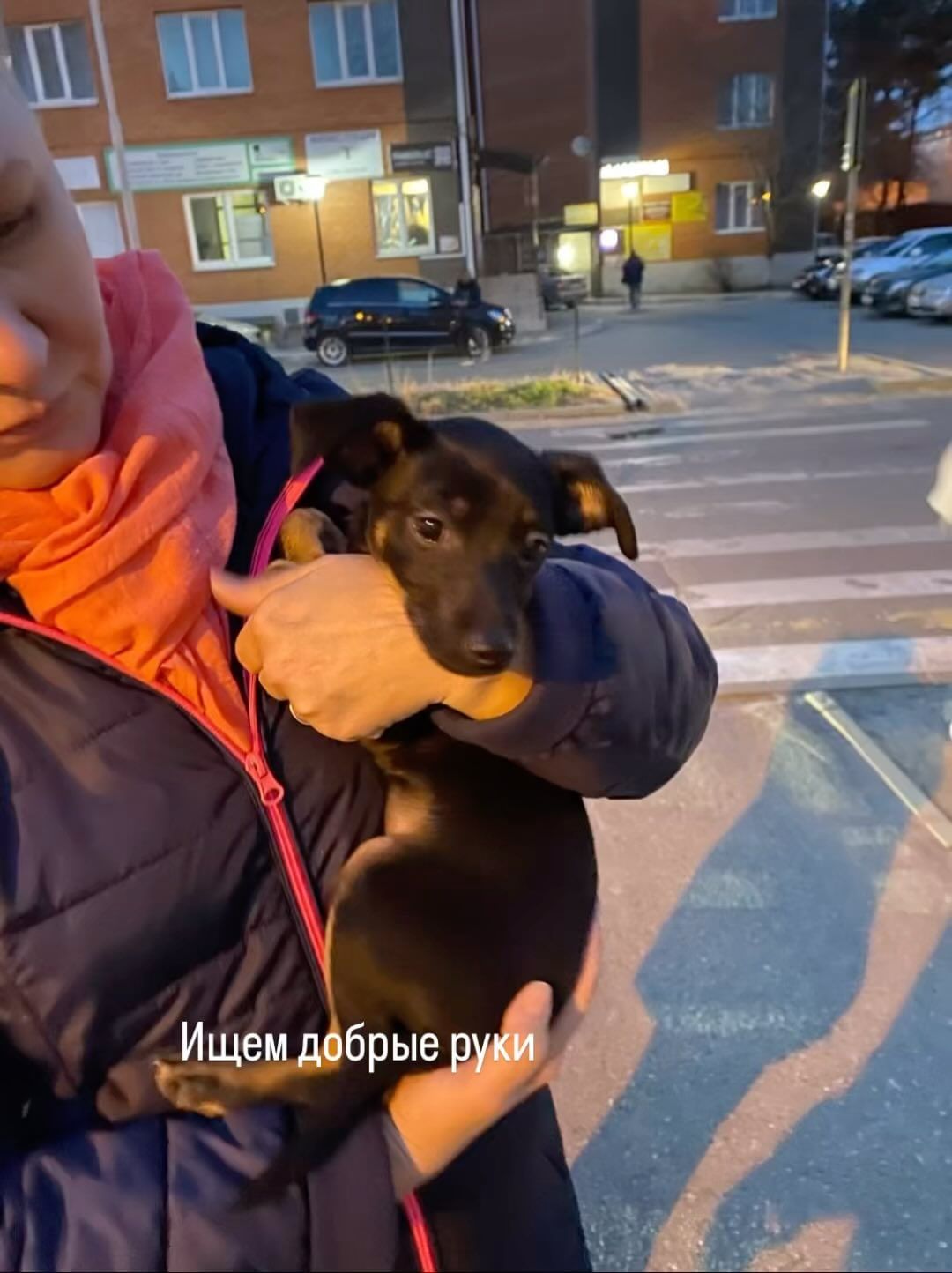 frolov.systems в LOOKY. . Люди, человеки - ком...