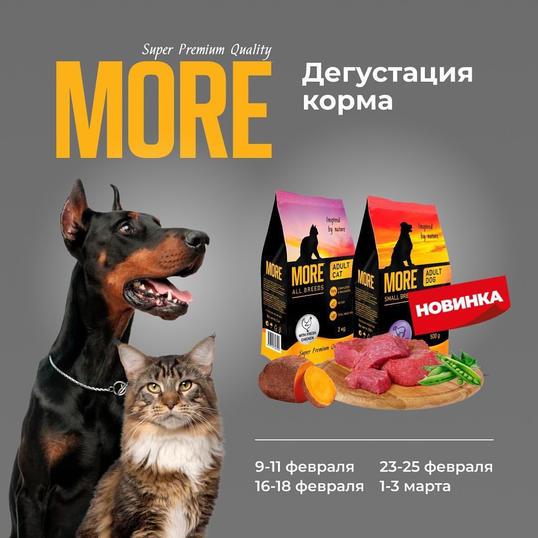 zoobethowen в LOOKY — Уже завтра в магазинах «Бетховен» начнется уникальная дегуст