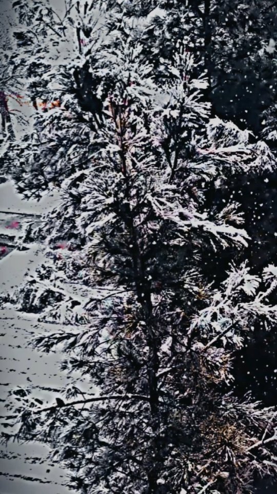 amirumar.official в LOOKY. . 🌨️❄️🏟️