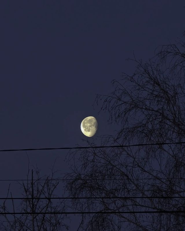 beast_coolfire в LOOKY. . null
