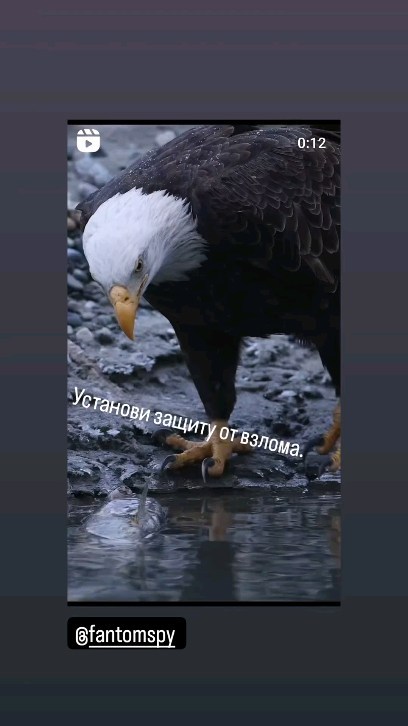 fantomspy в LOOKY. . null