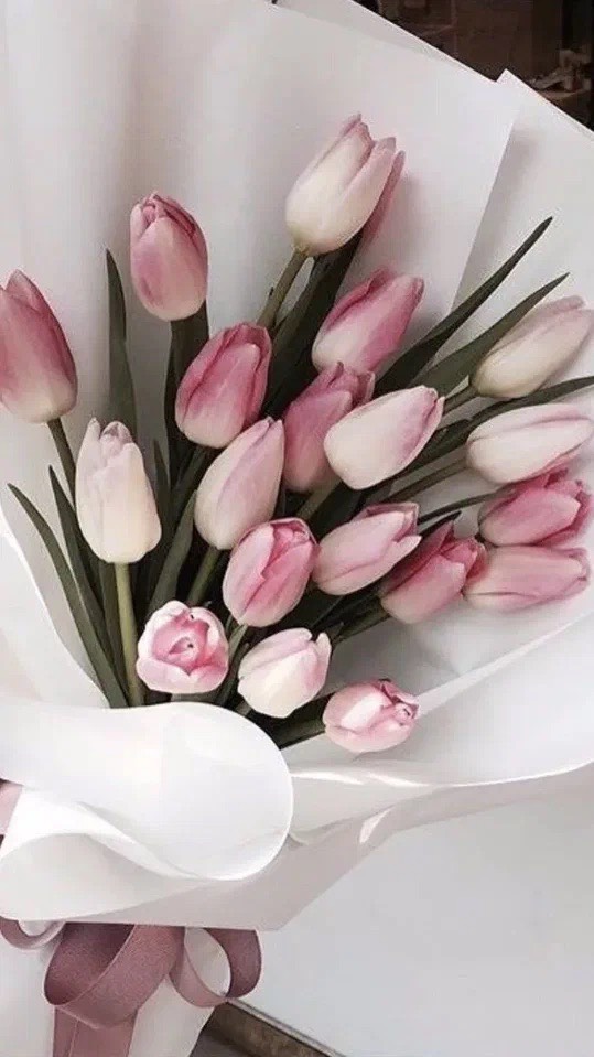 vera_piglovskaya в LOOKY. . Любые изменения начи...