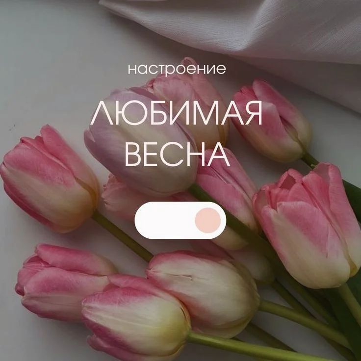 diary_mood___ in LOOKY. . 🌺🌺🌺