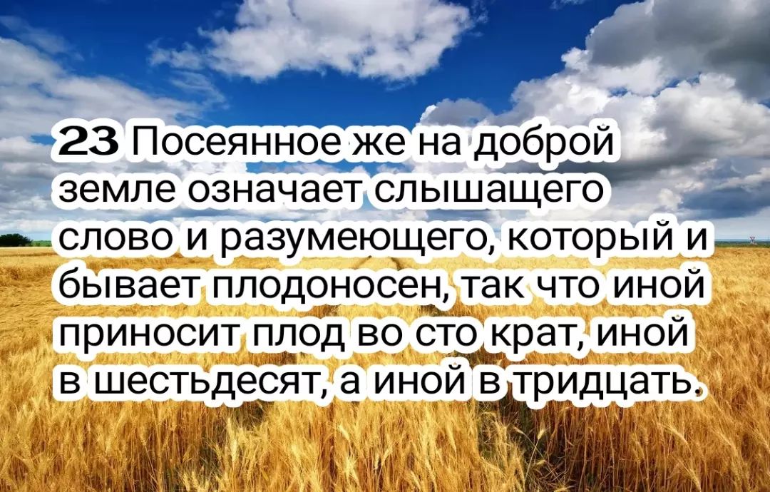 bog_so_mnoj в LOOKY — фото 5