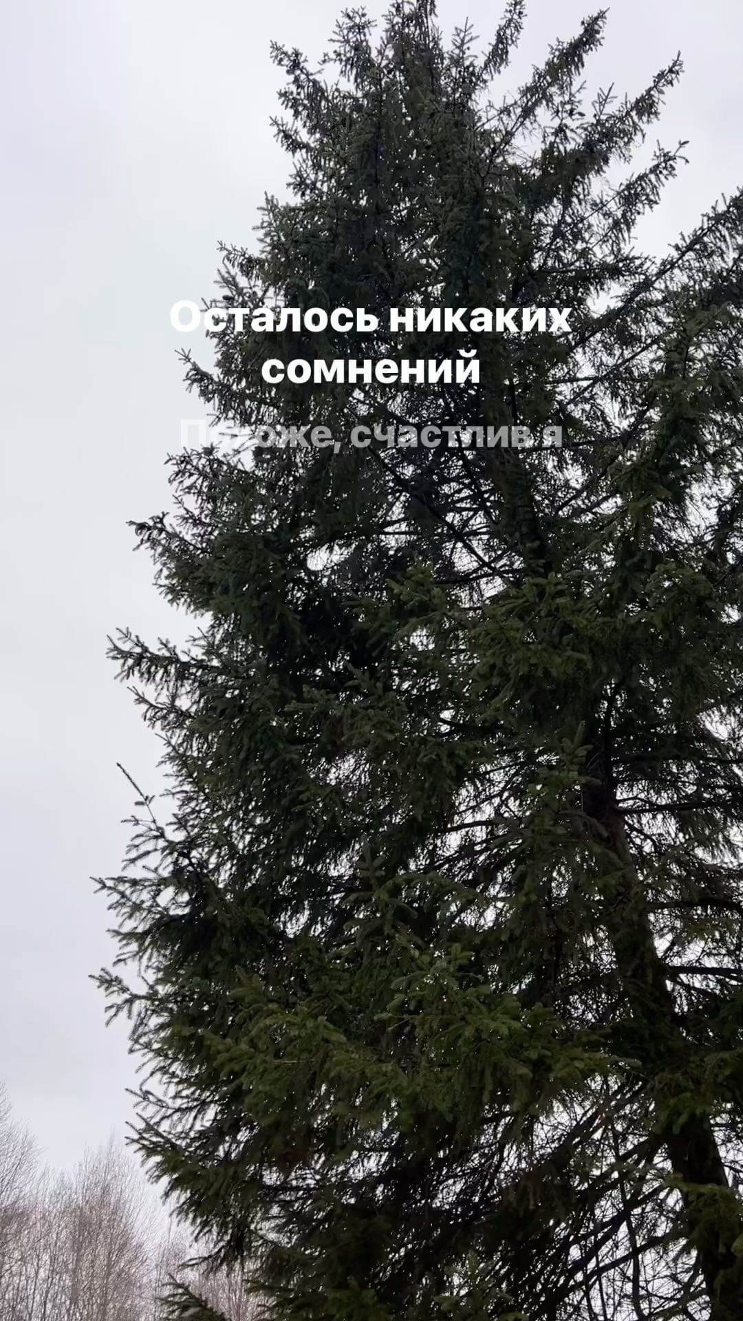 chyprakov в LOOKY. . Провели прекрасный д...