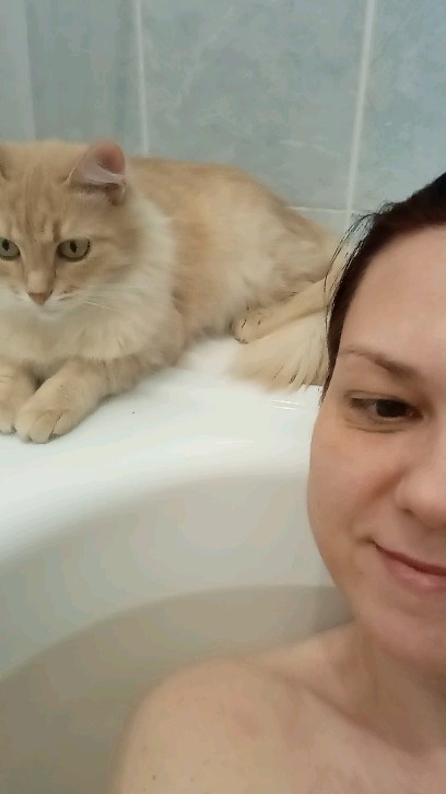 Елена Кораблина в LOOKY. . С днём кошек 🐈🐱