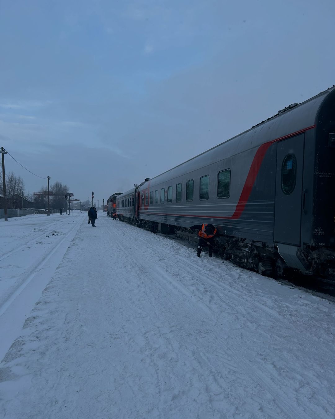 katya_sur в LOOKY — публикация