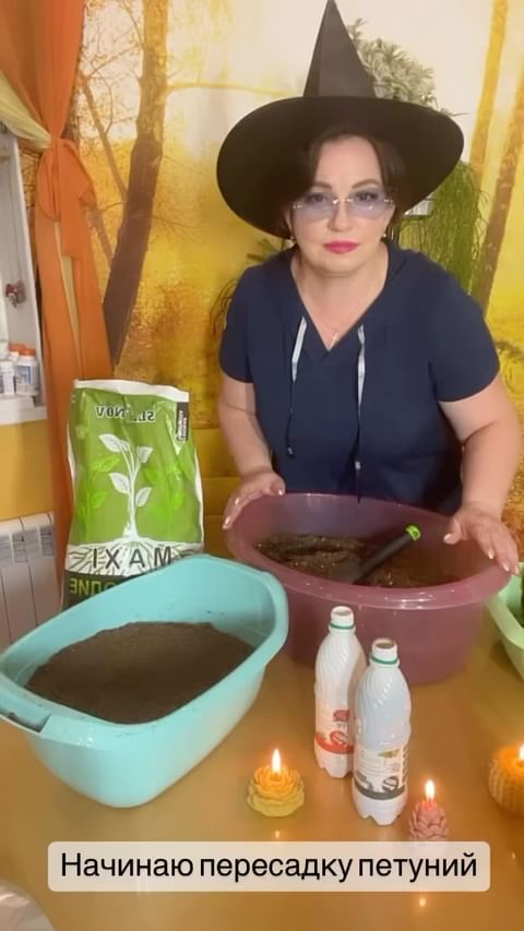 pionovyy_ray в LOOKY. . Каждый садовод немно...