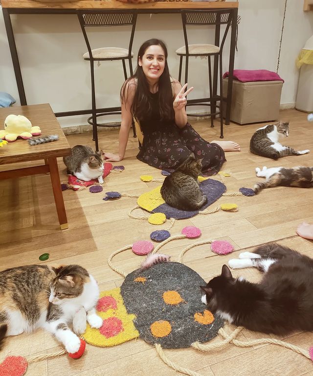 elenae082100 в LOOKY. #catcafe,#paraguay. Feliz con los michis...