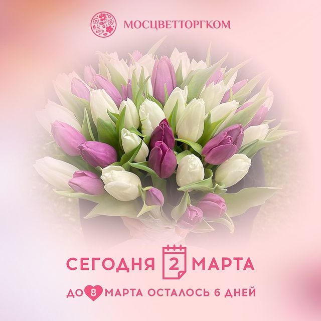 moscvettorg.com_moscow в LOOKY. . null