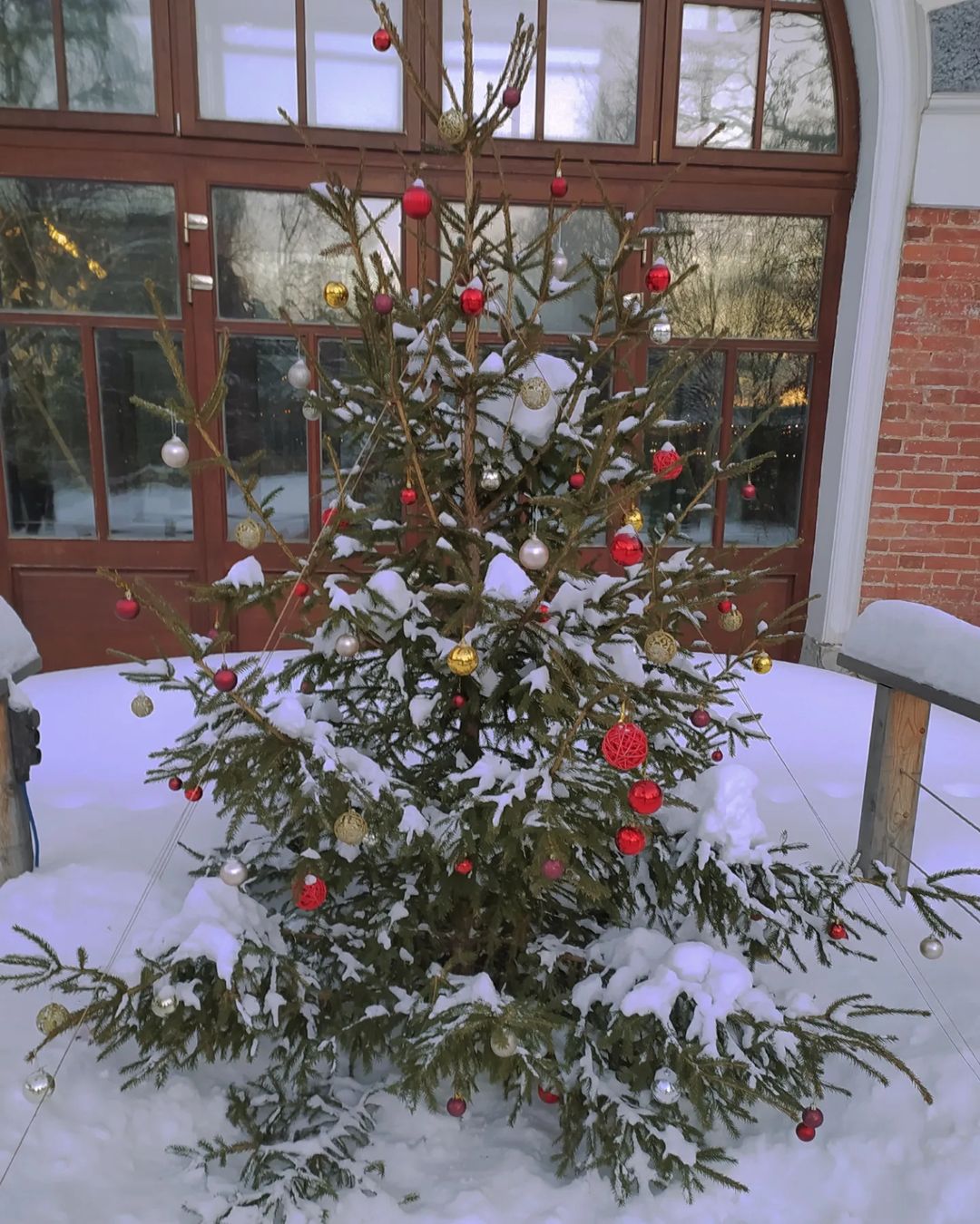 li_m_elina в LOOKY — фото 4