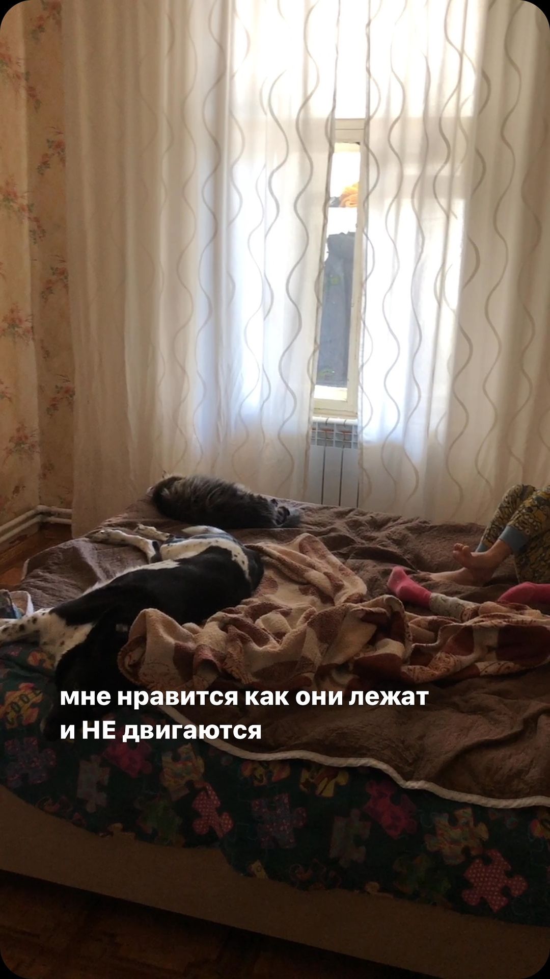 oblepixa2.0 в LOOKY. . null