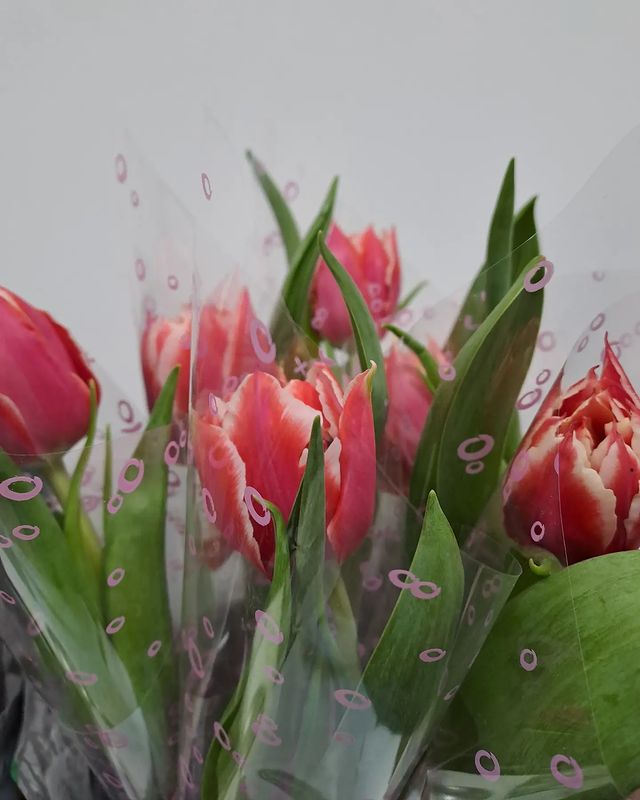 lena_lantuxova_0703 в LOOKY. . На работе нас уже по...
