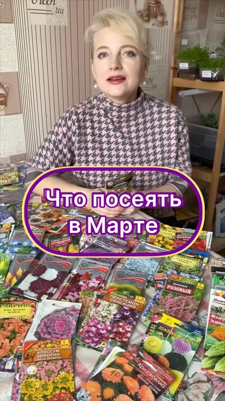 my_garden_every_day в LOOKY. #садогород,#сад,#посевная,#посевная2024,#однолетниерастения,#однолетние,#посеввмарте,#садогороддача,#дача#дачасад#дачасадогород,#цветы#садоводыогородники,#посев,#питомникрастений,#саженцыклематисов#саженцыгортензий,#сорта,#сортацветов. 🌸🔵🌸Присоединяйтес...