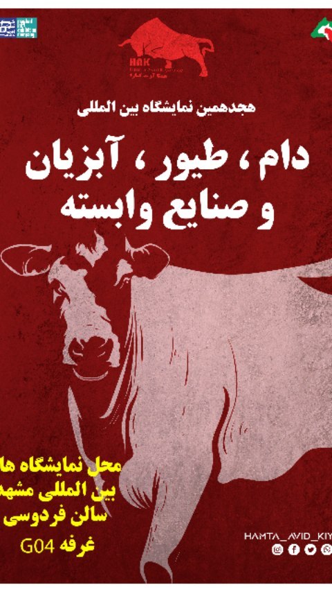 hamta_avid_kiyara в LOOKY. #دام_طیور,#دامداری,#دامداران_ایران,#دامپروری,#دام,#دامداران,#گاوداری,#گاوداری_صنعتی,#گاوداری_مدرن,#گاو_شیری,#خوراک_دام_و_طیور,#گاو,#سم_چینی_گاو. نگاهی به هجدهمین نما...