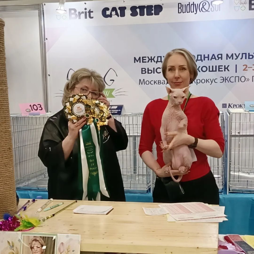 Выходные прошли на выставке Spring cat show 🌞🌞🌞
Ванечка выставлялся по системе CFA🏵
Из четырёх рингов вошел в четыре финала:
🏆 эксперт Ирина Харченко - 9 место;
🏆 эксперт Надежда Румянцева - 6 место;
🏵 Второй лучший премиор в короткой шерсти;
🏆 эксперт Наталья Белова - 6 место;
🏵 Первый лучший премиор в короткой шерсти;
🏆 эксперт Виктория Похвалина - 1 место!
🏵 Первый лучший премиор в короткой шерсти;
🏵 Первый лучший премиор среди всех пород!
Спасибо организаторам выставки за весеннее настроение 🌞🌹🌷🌹🌞