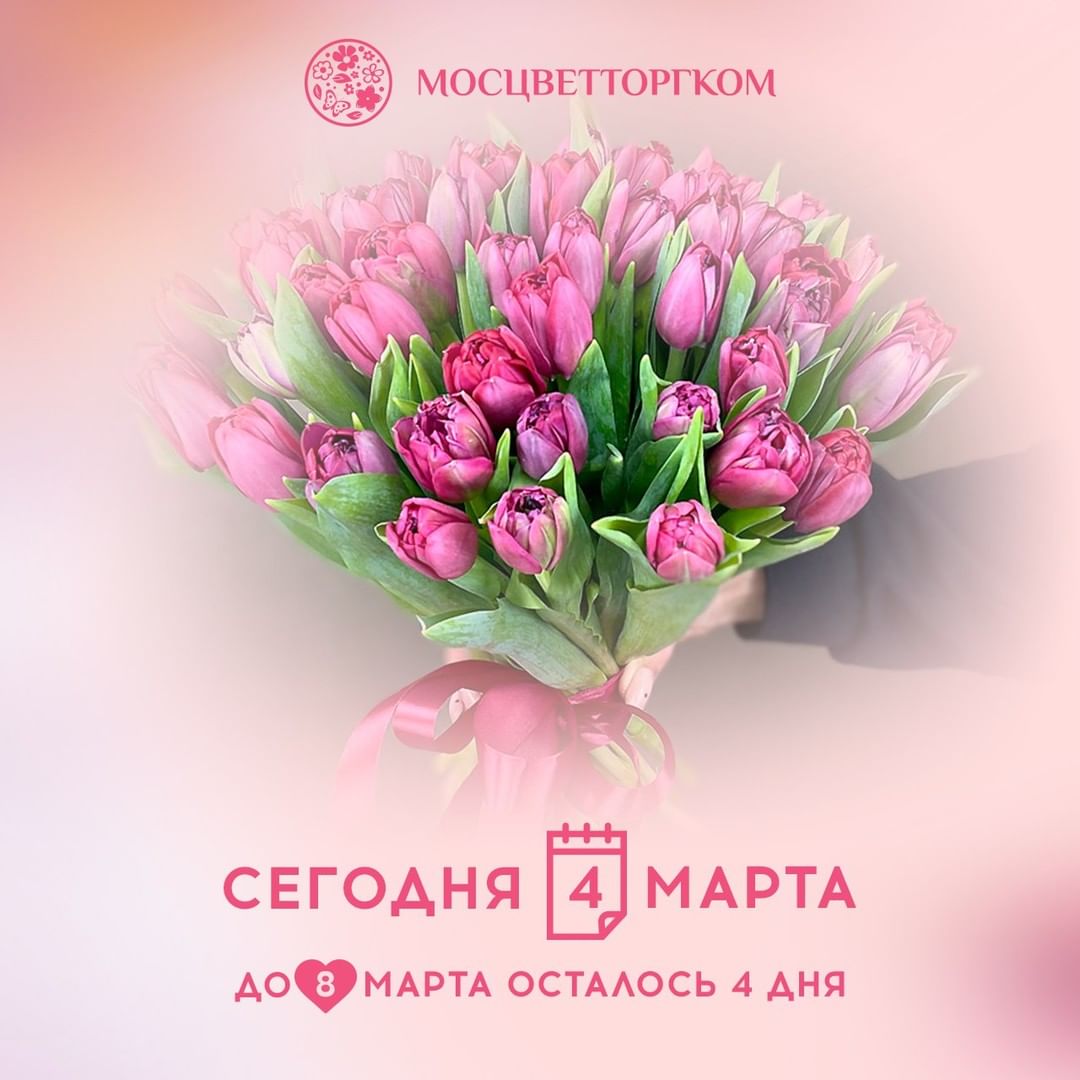 moscvettorg.com_moscow в LOOKY — публикация