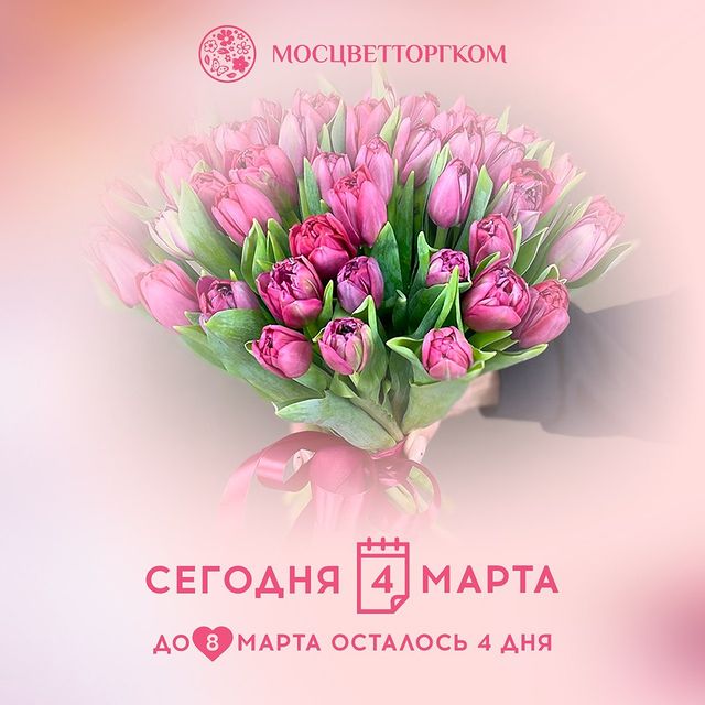 moscvettorg.com_moscow в LOOKY. . null