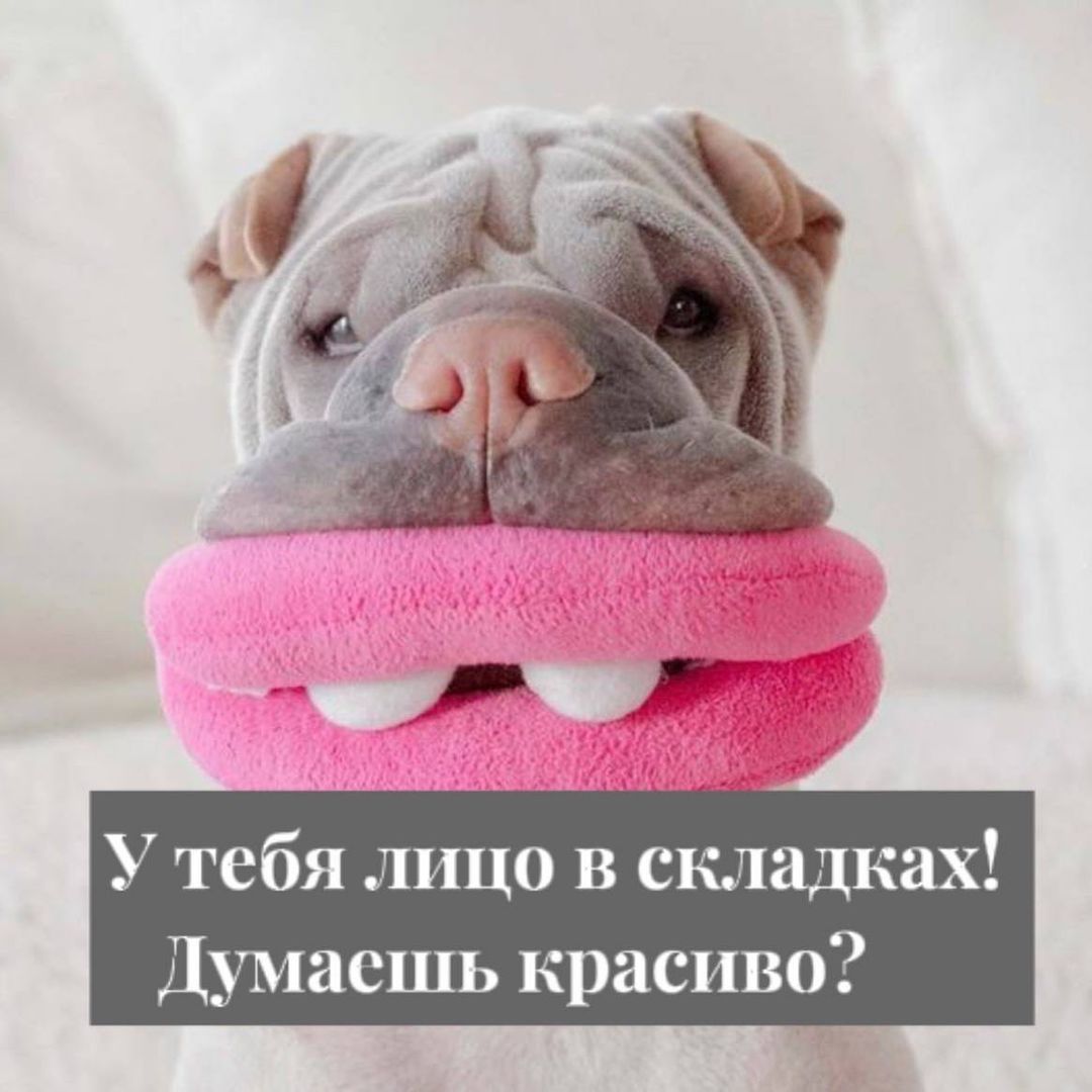 milavetrova_flax в LOOKY — ГИПС ВСЕМУ ГОЛОВА☝️

Спорим, когда любой из нас слышит слово