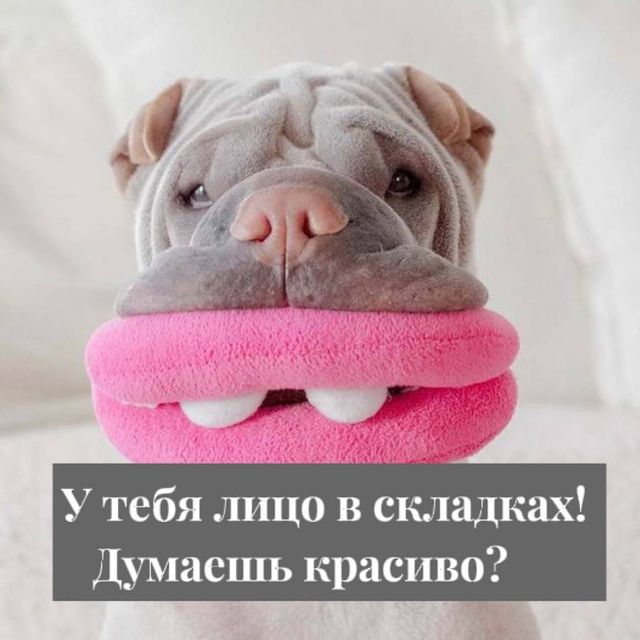 milavetrova_flax в LOOKY. . ГИПС ВСЕМУ ГОЛОВА☝️
...