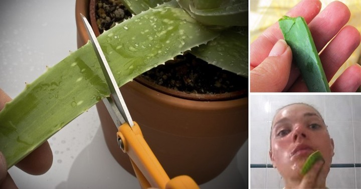 ekoduh в LOOKY — фото 5