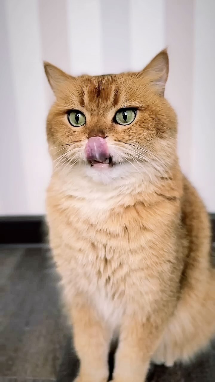 milkin711 в LOOKY. . Пуньк)