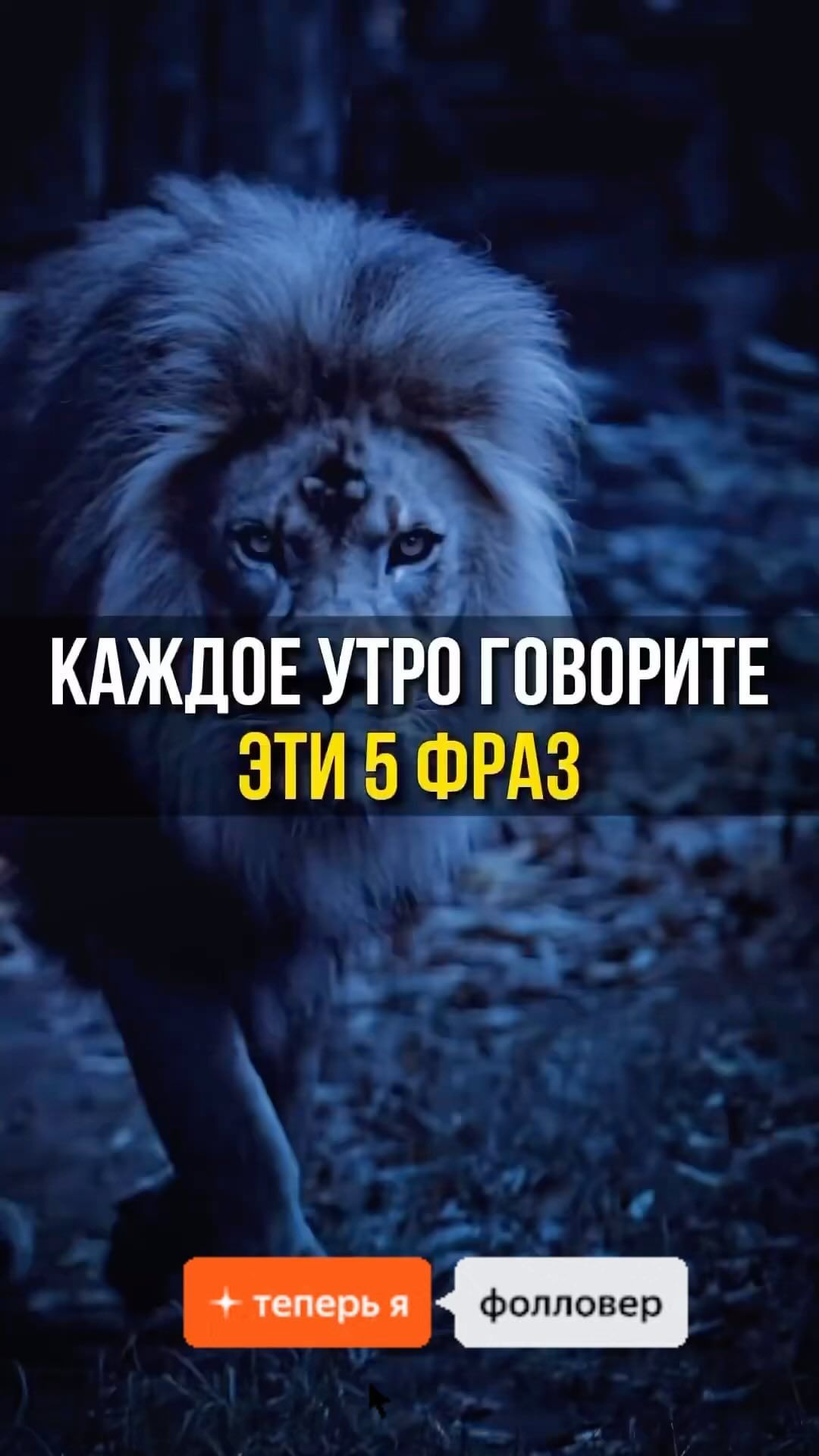 rommio.event в LOOKY. #жизнь. Золотое правило #жиз...