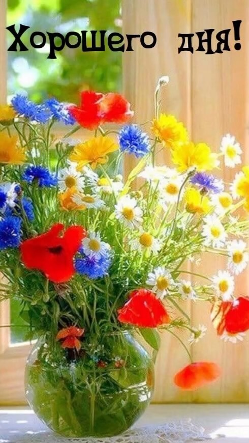 ecolife_for_me в LOOKY. . А вы знаете, что каж...