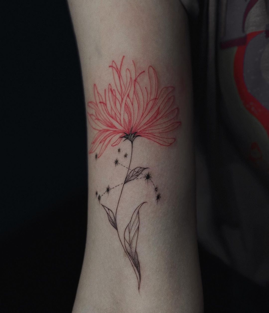 brickfern_tattoo в LOOKY — фото 2